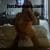 batikent ince belli esmer escort simal 2