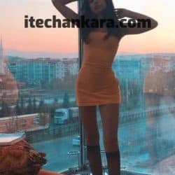 bahcelievler sevisen acele sevmeyen escort pelin 3